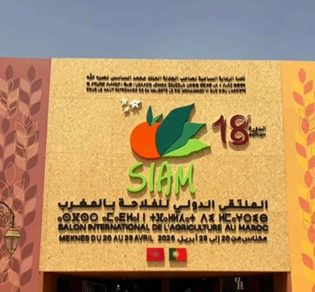 فاس-مكناس: اختتام مشروع “تمكين للتنمية” بمواكبة 33 مقاولة ناشئة